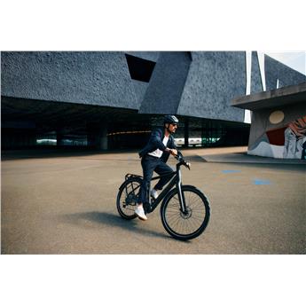 ROWER BERGAMONT HORIZON 6 GENT ROZ.56 2021-126356