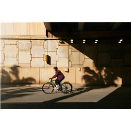 ROWER BERGAMONT HORIZON 6 GENT ROZ.56 2021-126357