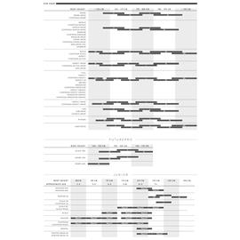 ROWER SCOTT CONTESSA SCALE 920 ROZ.M 2022-124339