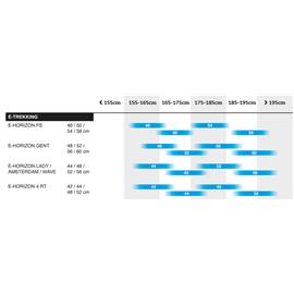 ROWER BERGAMONT E-HORIZON 4 RT BLK ROZ.44 2022-133314