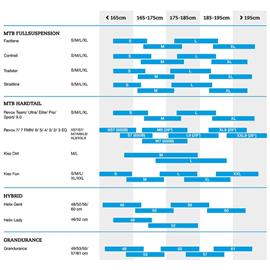 ROWER BERGAMONT REVOX 2 GREY ROZ.M7 2022-124089