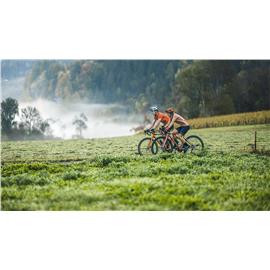 ROWER SCOTT SPEEDSTER GRAVEL 30 ORANGE ROZ.L 56CM-129982