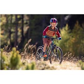 ROWER SCOTT ROXTER 24 SILVER 2023-119071