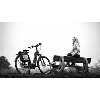 ROWER BERGAMONT E-HORIZON EDITION 5 LADY ROZ.48 -131869