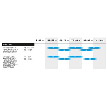 ROWER BERGAMONT HORIZON 4 AMSTERDAM CHAMP ROZ.52 2022-133077