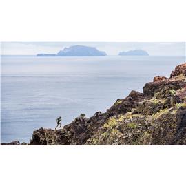 BUTY SCOTT SUPERTRAC RC RUNNING ROZ.42.5 2019-113294