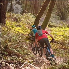 PLECAK CAMELBAK ROGUE 85oz IBIZA BLUE-111896