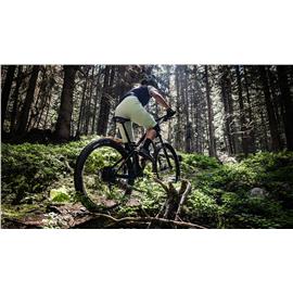 SZORTY SCOTT W'S TRAIL VERTIC PISTAC ROZ.M 2021-121528