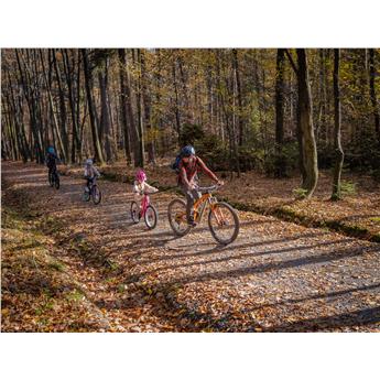 LINKA LINA ELASTYCZNA DO HOLOWANIA ROW SZNUR-133032